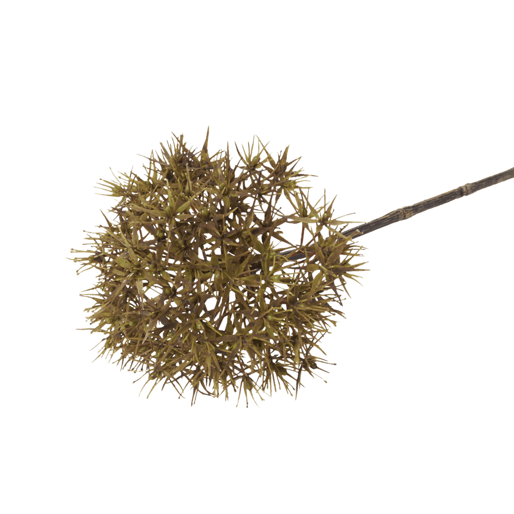 Allium Sage Stem