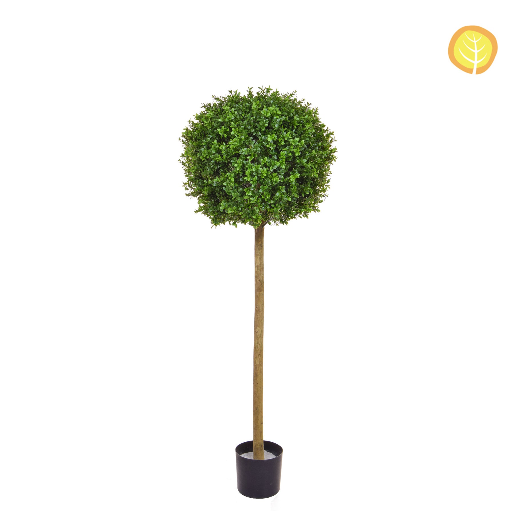 Topiary Buxus Ball Tree 130cm