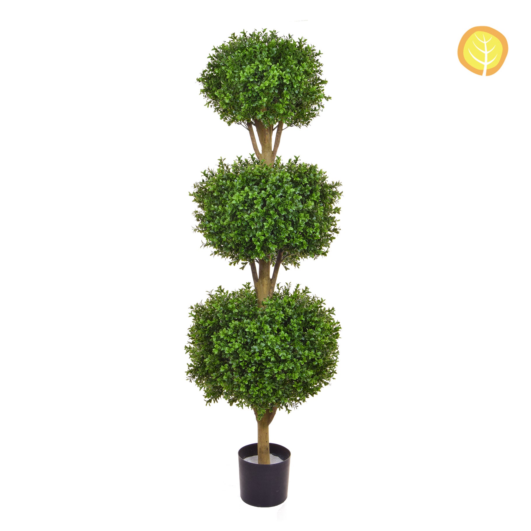 Topiary Buxus Triple Ball Tree 140cm