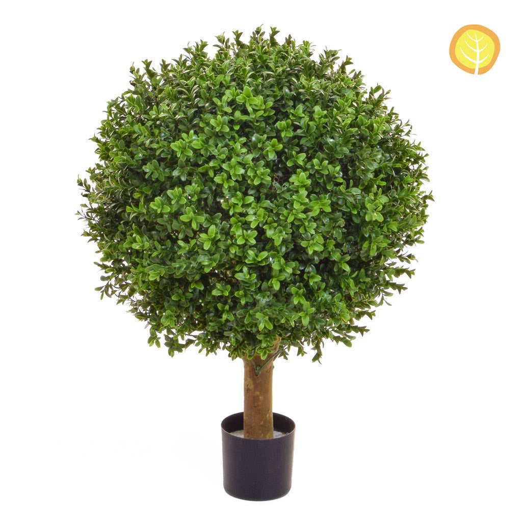 Topiary Buxus Ball Tree 60cm