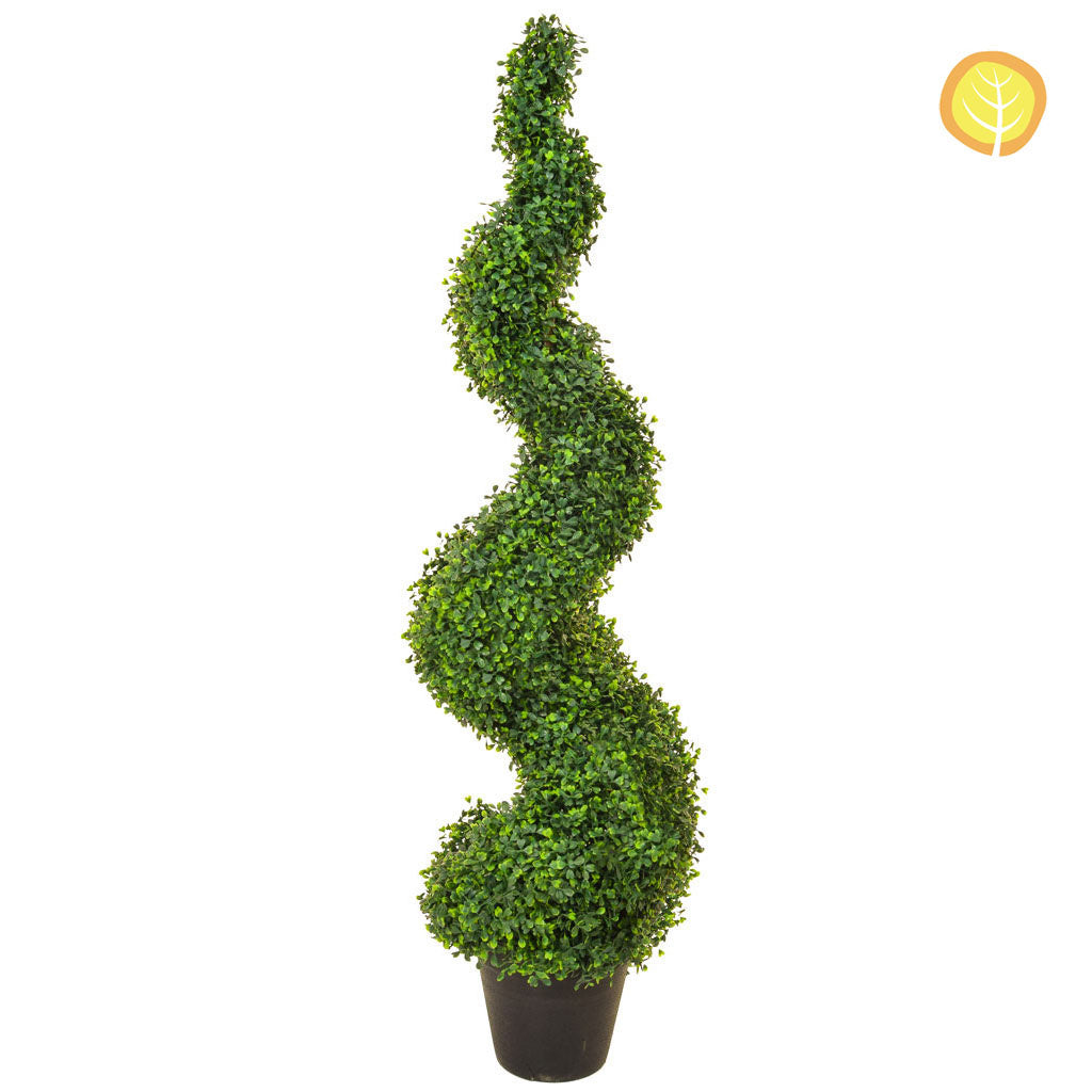 Topiary N-Boxwood Spiral 125cm