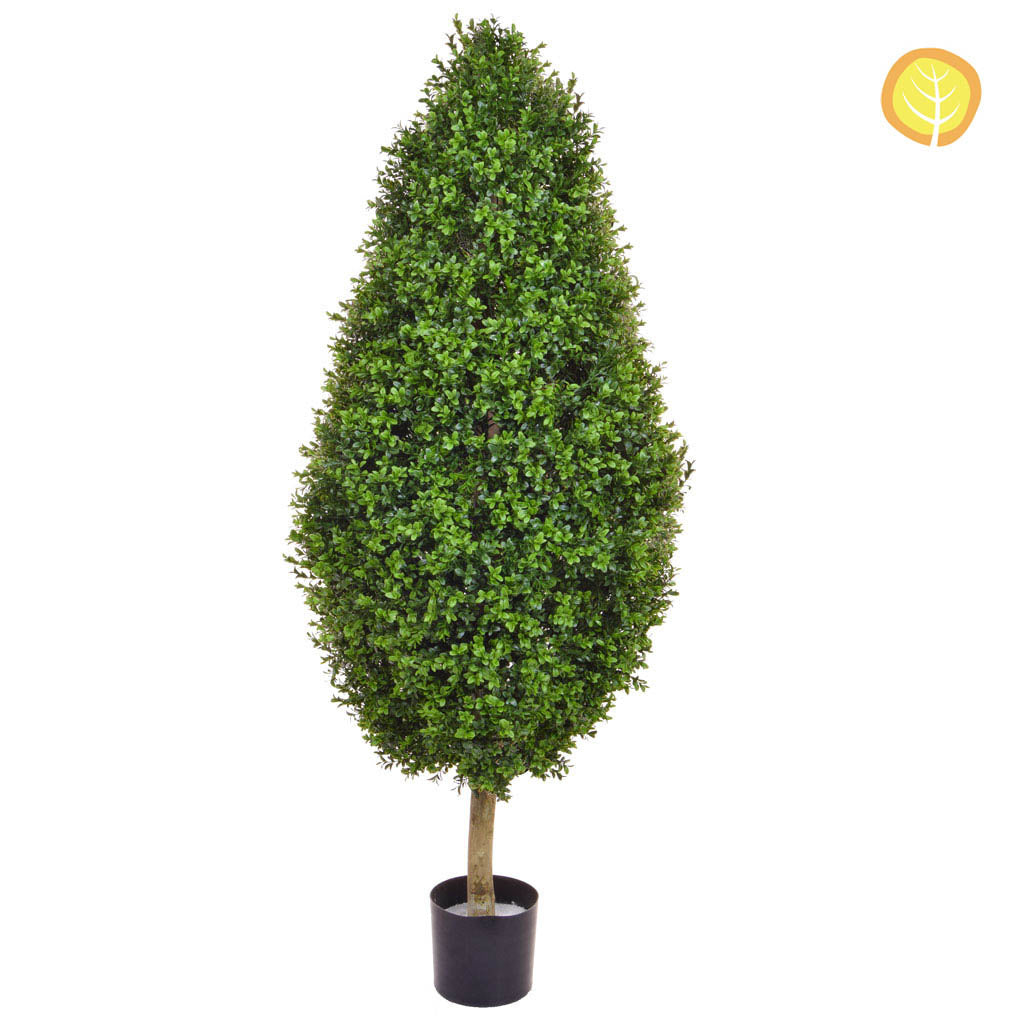 Topiary Buxus Tower Tree 130cm