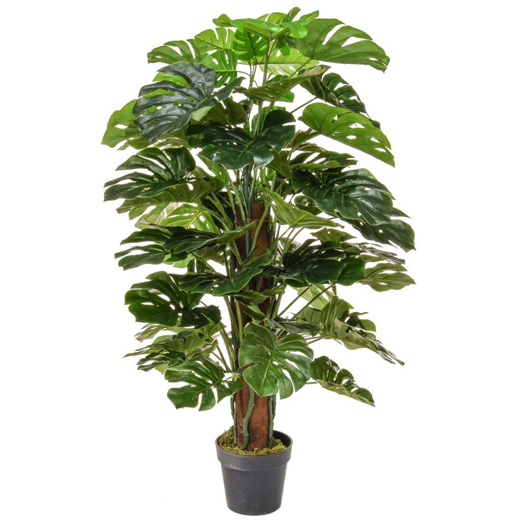 Monstera Tree 120cm