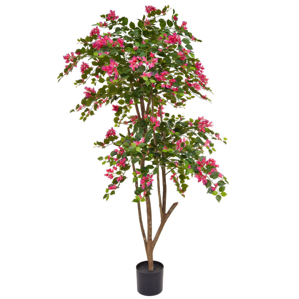 Flowering Boug Tree 180cm