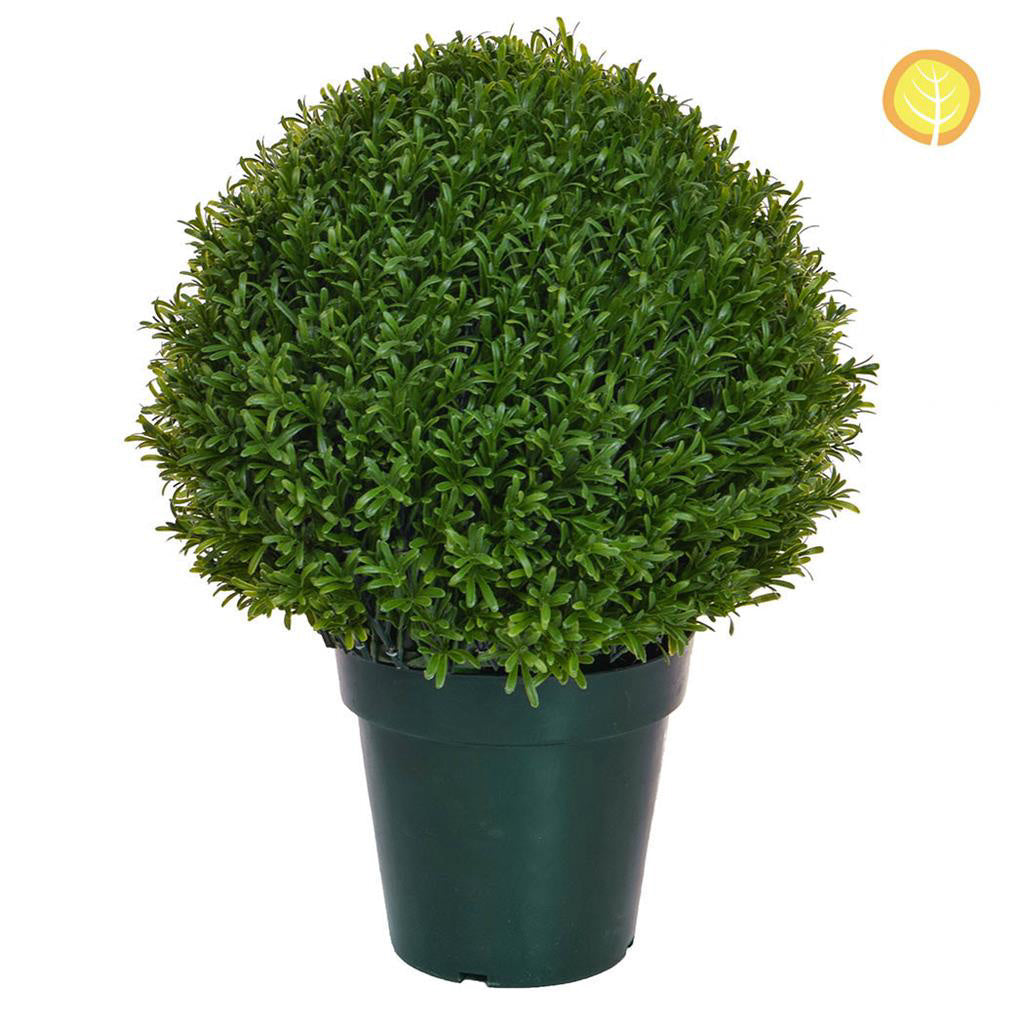 Topiary Rosemary Ball Tree 45cm