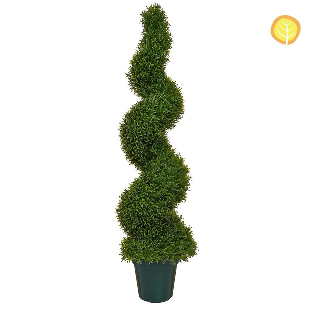 Topiary Rosemary Spiral Tree 135cm