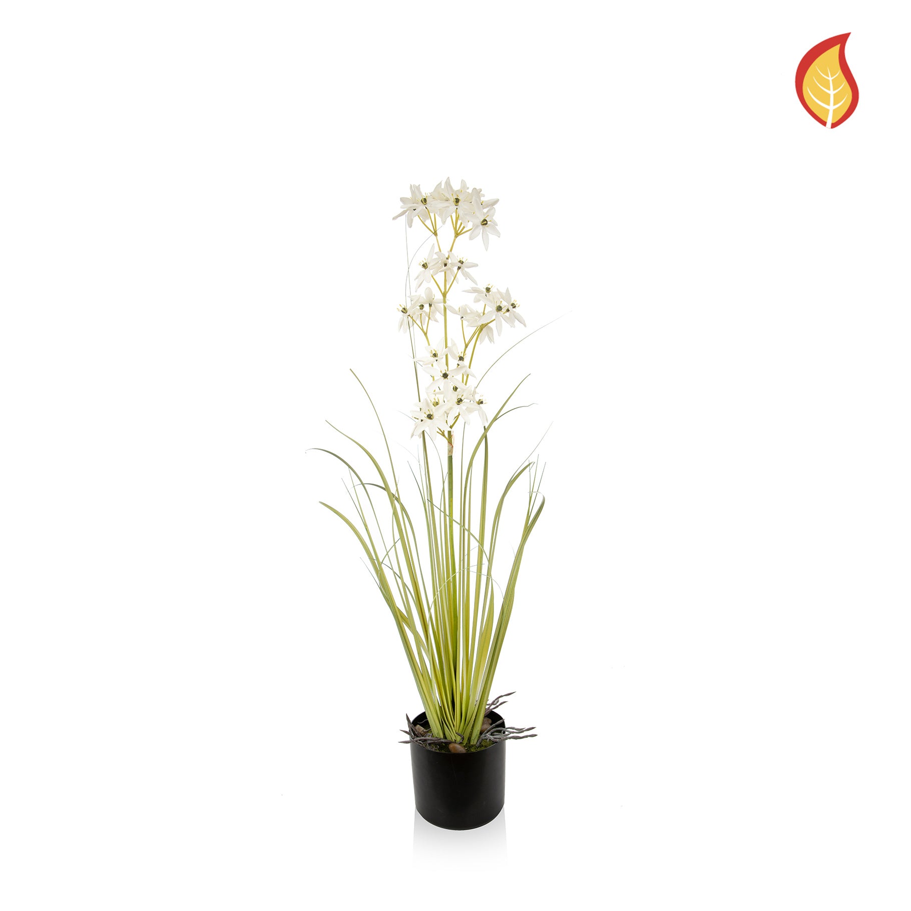 Allium Grass with Pot 87cm