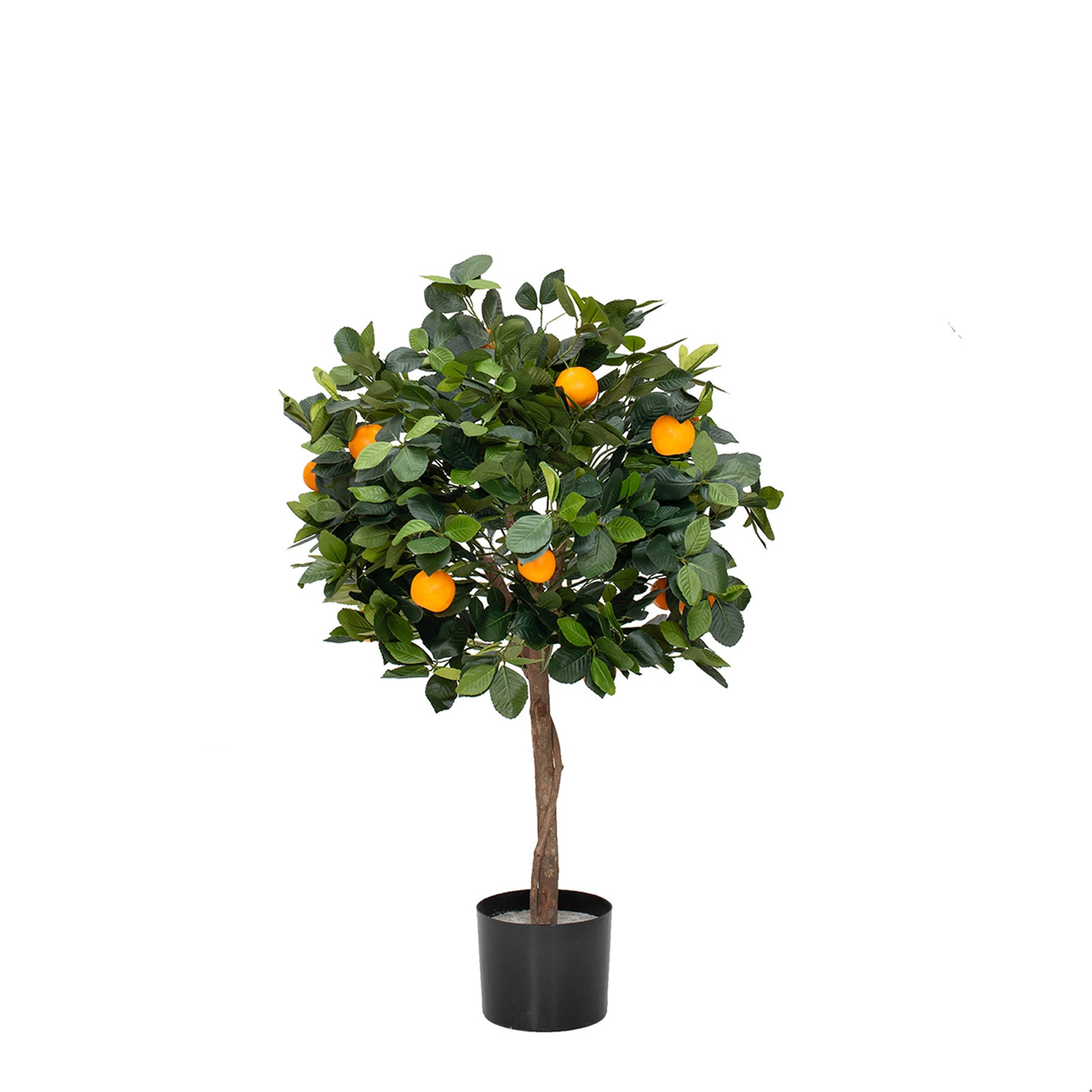 Orange Tree with Fruit 90cm