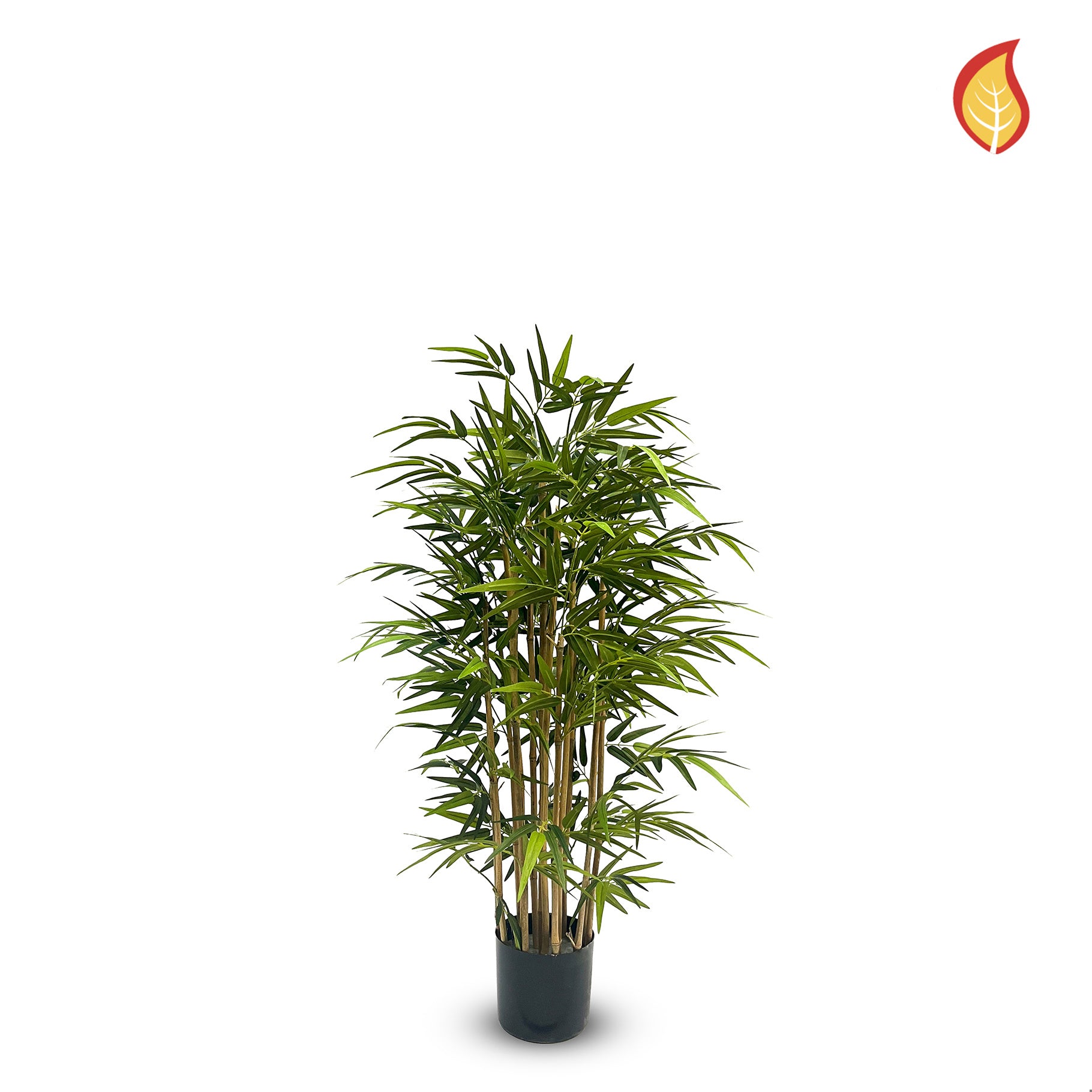 Bamboo Japanese Tree 120cm