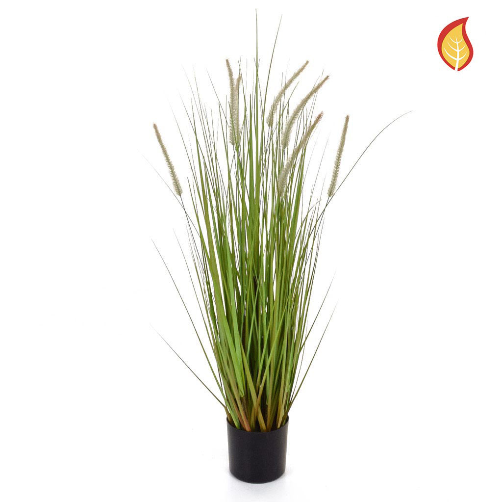 Dogtail Grass A with pot 90cm