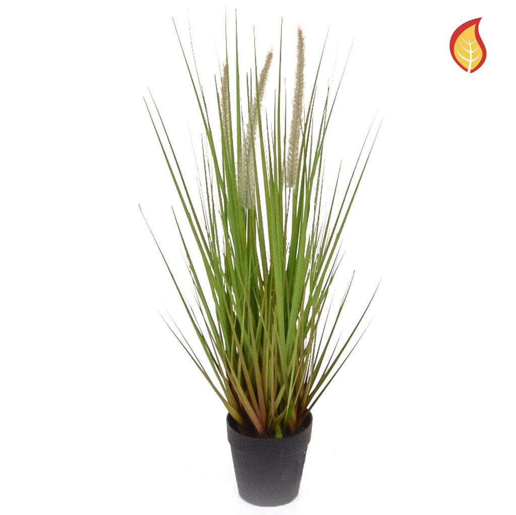 Dogtail Grass A with pot 52cm