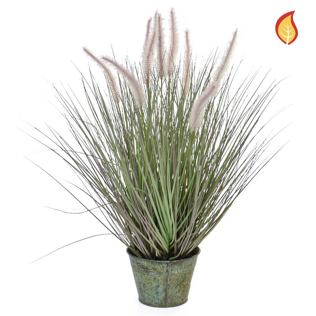 Dogtail Grass with metal pot 58cm